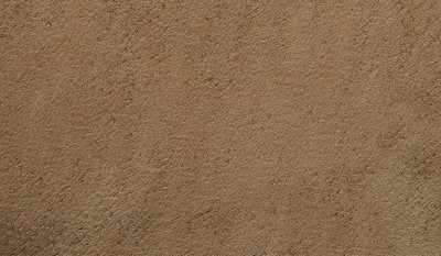 FABULA FICUS