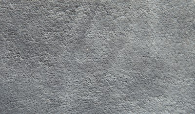 FABULA FICUS