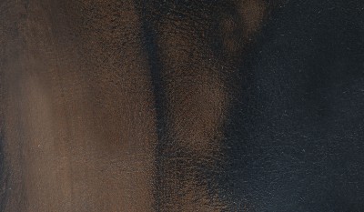 VULCI