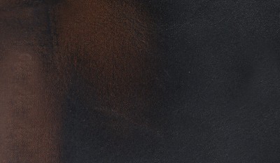VULCI