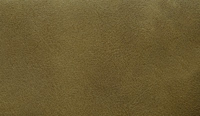 SALINO
